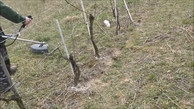 Мотокоса Oleo-Mac BCH 40 T | Италия | В Украине от официального поставщика смотреть онлайн