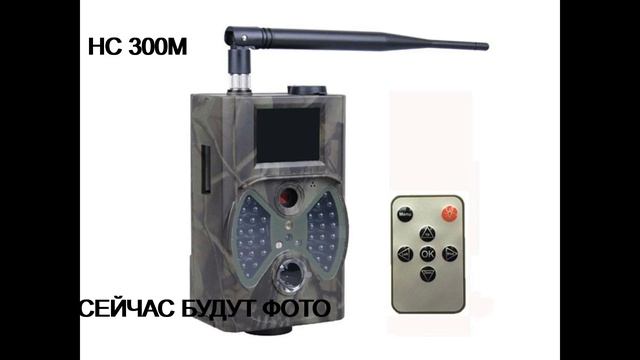 Фотоловушка на солонце! HC300M. Реальные фото смотреть онлайн