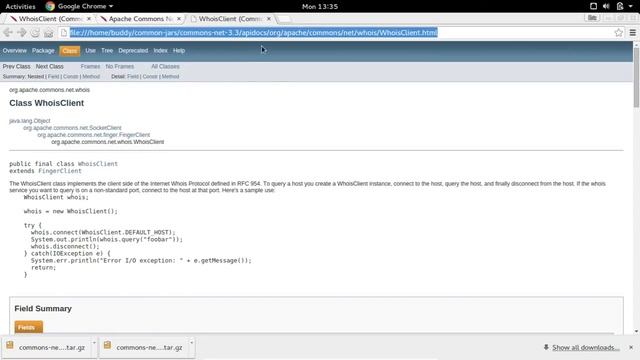 Download and add library commons-net-3.3 to Netbeans IDE, and java WhoisClient example смотреть онлайн