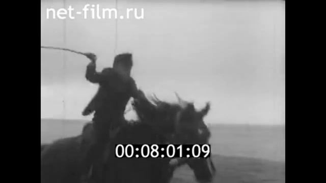 1967г. озеро Иссык- Куль. конный цирк. Киргизия. смотреть онлайн