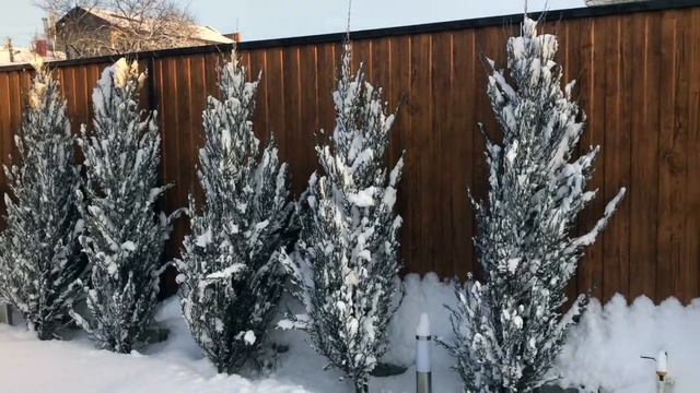 Отдых в Витязево || Комплекс коттеджей Яни. Снег пришёл и в наш комплекс. смотреть онлайн
