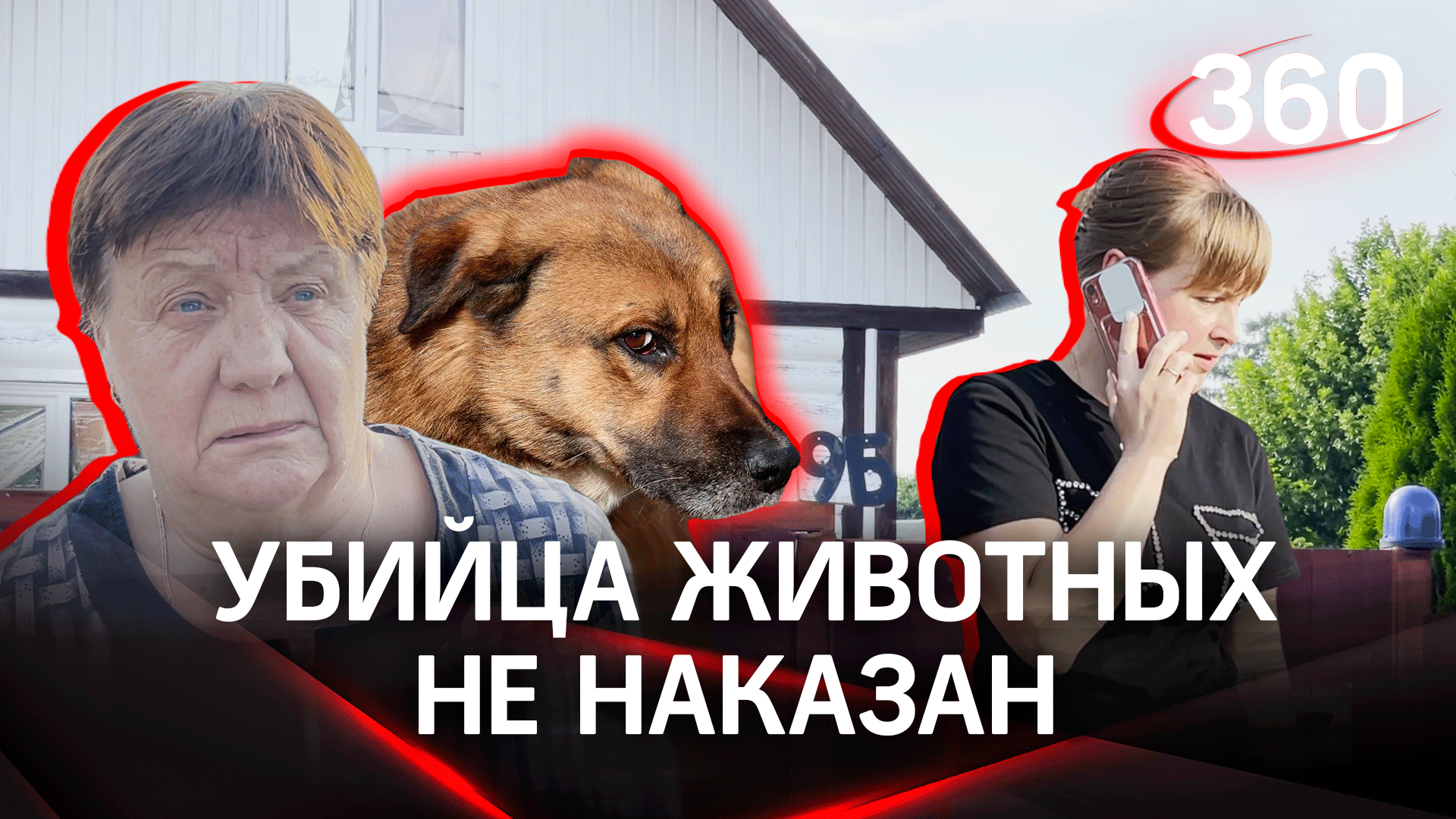 Живодер в Одинцово перестреливает и закалывает собак и кошек смотреть онлайн