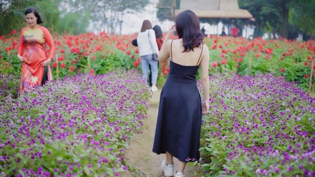Can't Help Falling In Love Saxophone Mp3 Download 🎷Swing saxophone music 712 смотреть онлайн