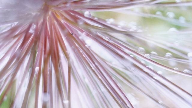 ЧТО ДЕЛАТЬ ЕСЛИ ФАЙЛЫ НА РАБОЧЕМ СТОЛЕ НЕ ОТОБРАЖАЮТСЯ смотреть онлайн