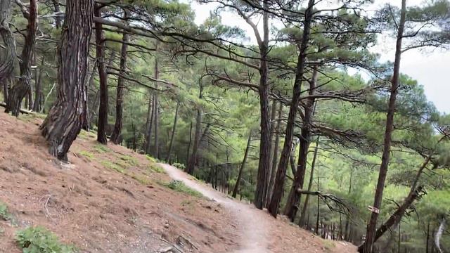 ГЕЛЕНДЖИК 2023. Голубая бездна джанхот смотреть онлайн