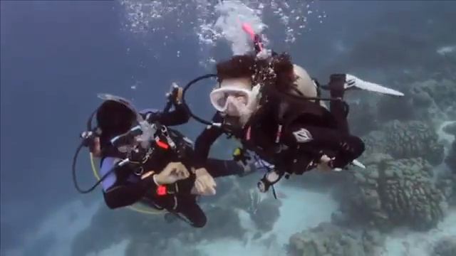 Обучение дайвингу (PADI OWD)- часть 5 смотреть онлайн