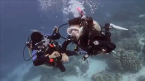 Обучение дайвингу (PADI OWD)- часть 5