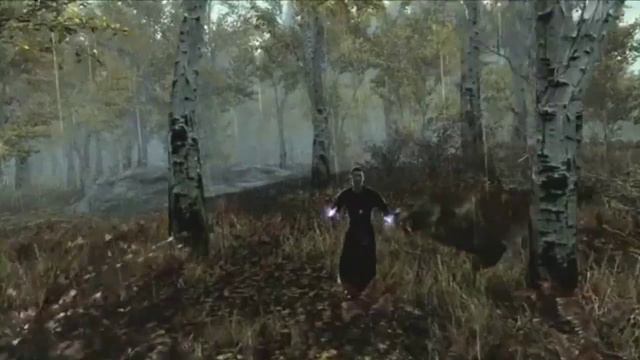Как Создавали и Разрабатывали игру Skyrim смотреть онлайн