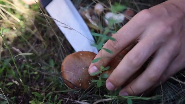 ПОСТРОИЛИ НАСТОЯЩИЙ 2-Х ЭТАЖНЫЙ ДОМ ЗА 60 ДНЕЙ ! КЛАДЕМ ПЛИТКУ смотреть онлайн