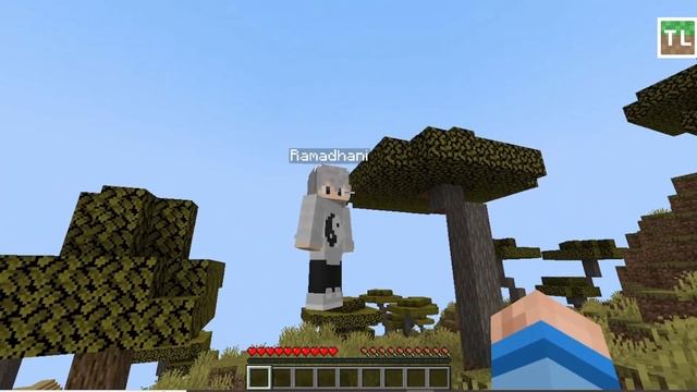 Apakah player Minecraft Java gratisan dapat multiplayer dengan player Minecraft Java original?? смотреть онлайн