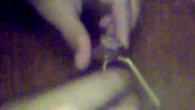 паук из каштана