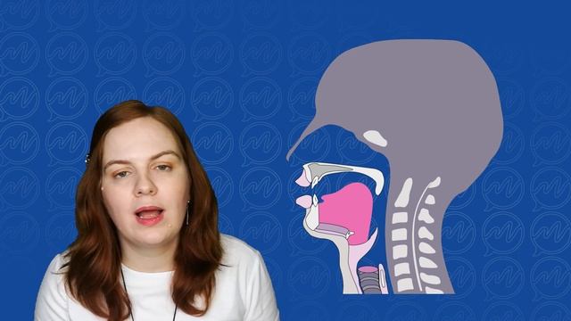 Правильно ли вы произносите звук Л смотреть онлайн