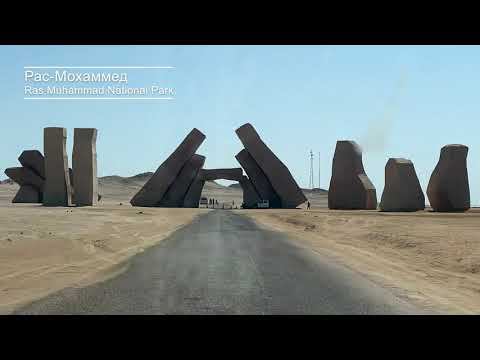 Sharm el-Sheikh 2021 (Шарм-эш-Шейх 2021) смотреть онлайн