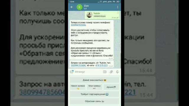 Успешная авторизация в боте Elon смотреть онлайн