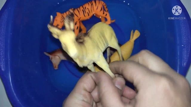 Учим животных на английском/ тигр/ корова/ морж/ смотреть онлайн