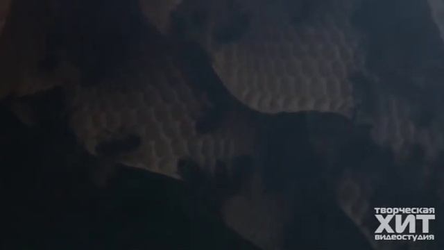 На сельской волне (Колоды Буковского) смотреть онлайн