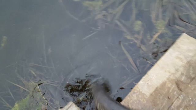 #blackbaits смотреть онлайн