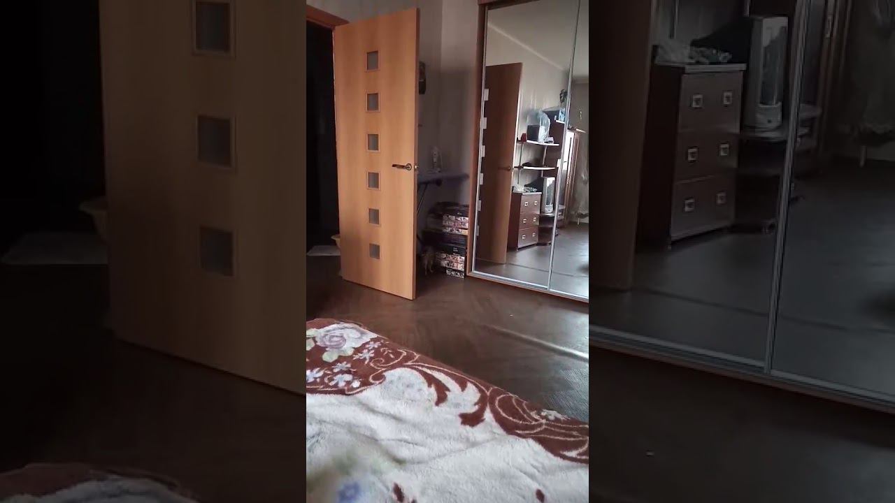 5 февраля 2020 г. смотреть онлайн