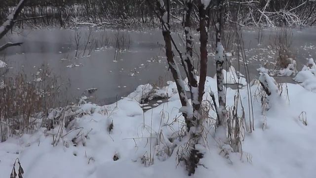 МОЖНО ПРОВАЛИТЬСЯ! С собаками на прогулку по водоёмам! dog walk смотреть онлайн