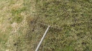 Как вычесывать газон весной без аэратора. Мой метод.