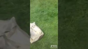 на рыбалке. "кто будет чай?")