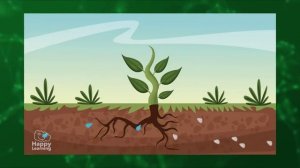 ЕСТЕСТВОЗНАНИЕ 5 КЛАСС  ФОТОСИНТЕЗ