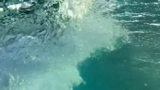 Авторская песня "Синева" Людмила Кононова смотреть онлайн