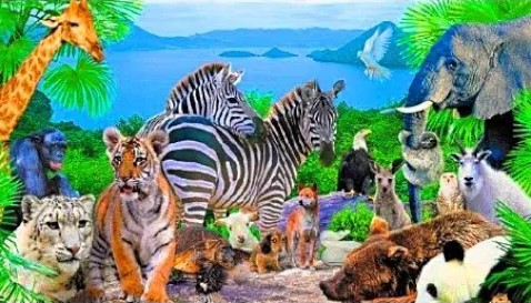 Необыкновенные животные Детская энциклопедия. смотреть онлайн