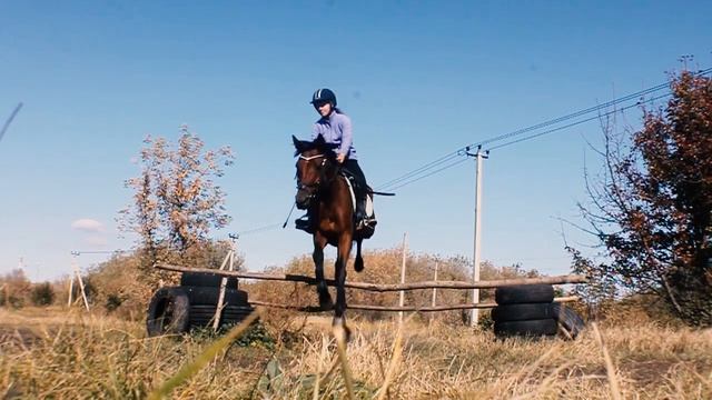 Конный двор "Кор-де-Баталь" смотреть онлайн