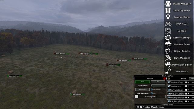 DayZ - VPP Admin Tools - ESP Right Mouse Button Select смотреть онлайн
