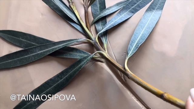 Гипсовое панно своими руками | Ботанический барельеф | Олеандр | смотреть онлайн