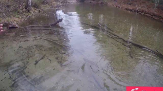 LUNKER TROUT ON 2LB TEST!!!