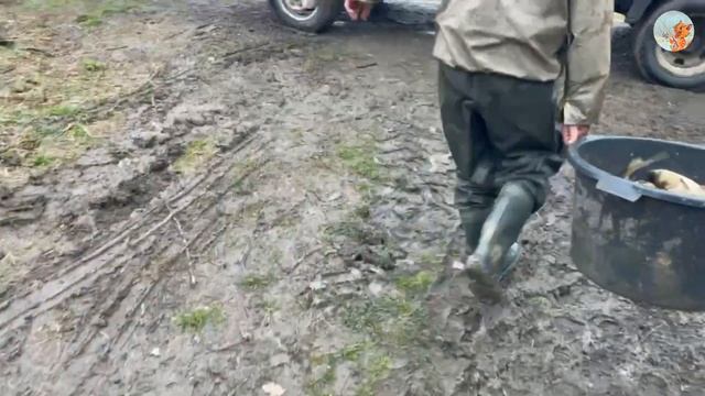 Лучшее место для рыбалки и досуга. Зарыбление водоема. Неравнодушные люди и река. смотреть онлайн