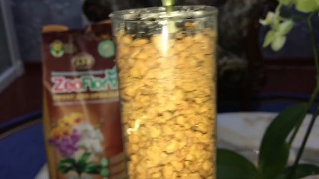 Подведение итогов спустя месяц после первой посадки в Zeoflora для орхидей.