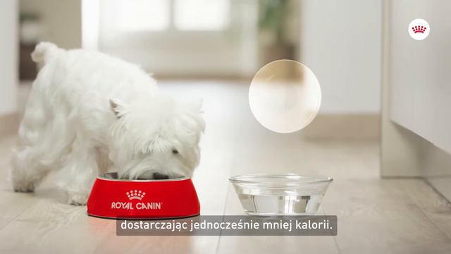 Royal Canin CCN Sterilised | zooplus.pl смотреть онлайн