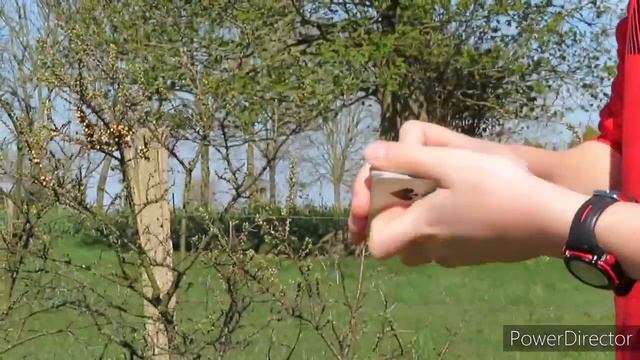 Magic Tricks with Arch Angels смотреть онлайн