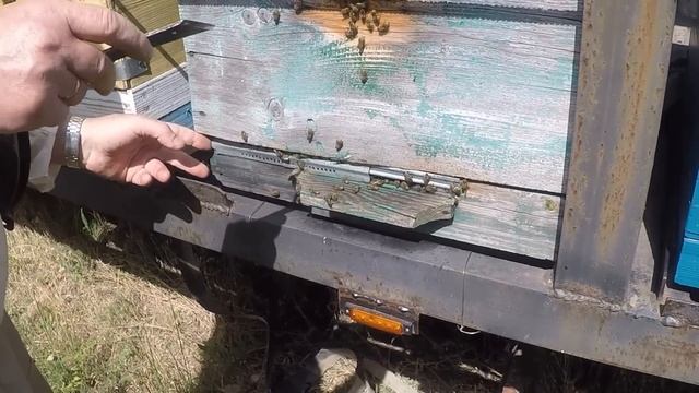 Август на пасеке Летки в ульях смотреть онлайн