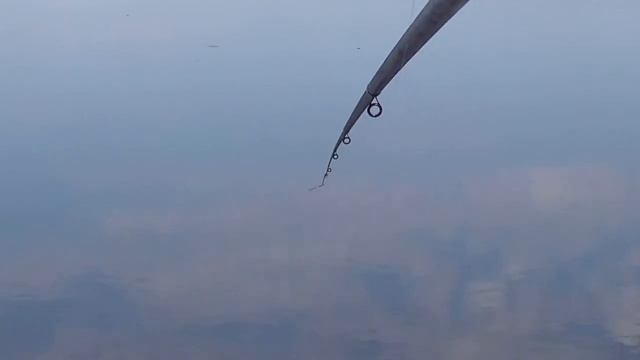 Летний кивок Пятиметровое удилище Поклевки смотреть онлайн