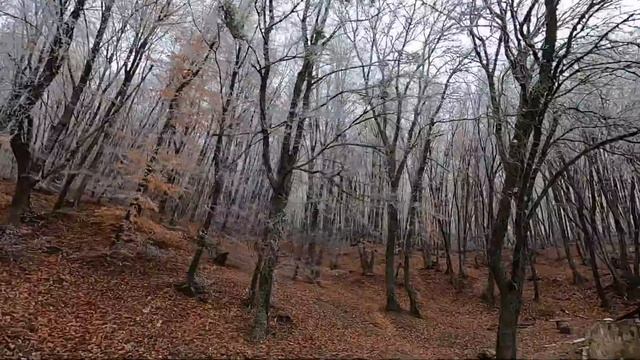 СТАРЫЙ КРЫМ - место которое мне безумно нравится. Древний монастырь в ЗИМНЕМ лесу. смотреть онлайн