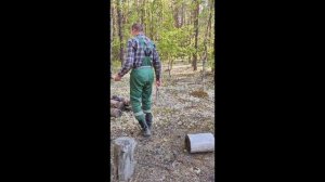 Прогулка по лесу