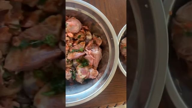 Ты — не ты, когда голоден! #americanstaffordshireterrier #стаффорд #бигль #beagle смотреть онлайн