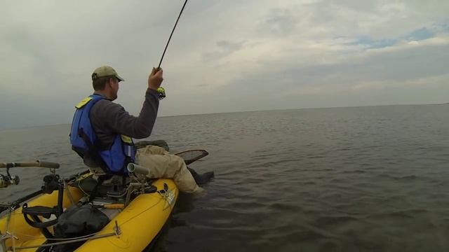 ?Große? Meerforelle(n) aus der Ostsee. Kajak,Kayak Hobie Mirage Jörg Düren смотреть онлайн