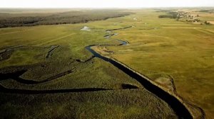 У каждой проблемы есть духовное решение Уэйн Дайер