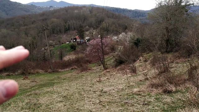 11сот с видом на горы. Недорого! смотреть онлайн