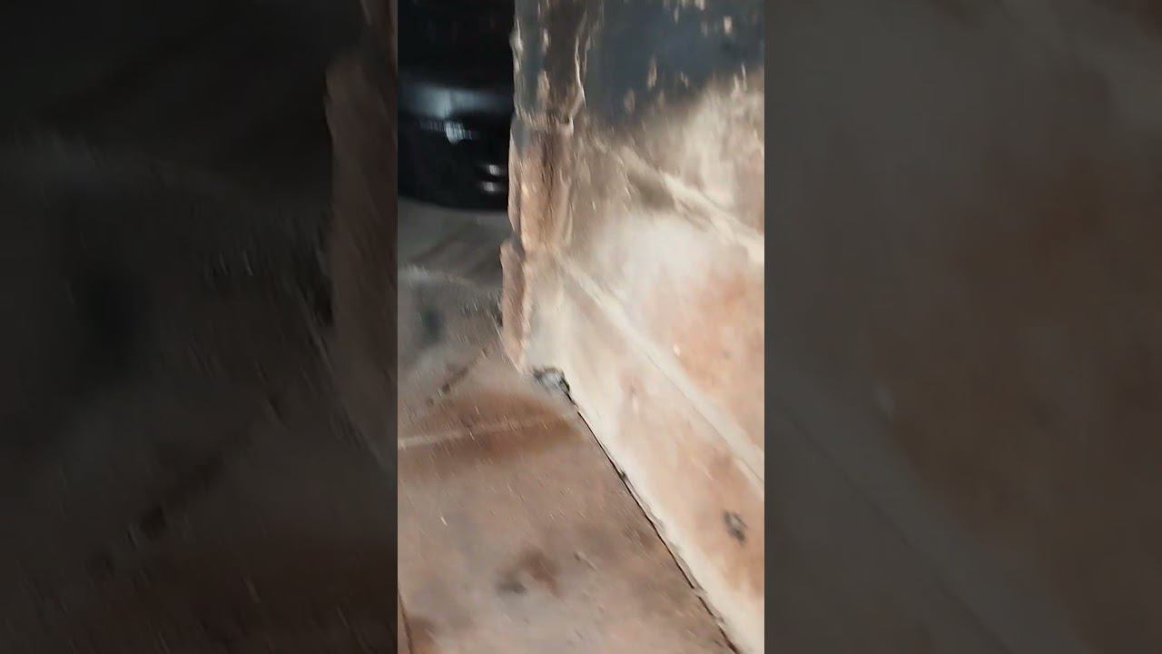 Курица с грибами из печи