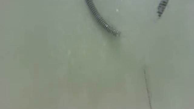 underwater webcam смотреть онлайн