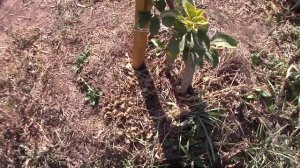 Посадка на ХОЛМЫ: три варианта