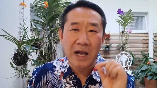 7 ALIMENTOS BONS PARA ARTRITE E ARTROSE | Dr. Peter Liu смотреть онлайн