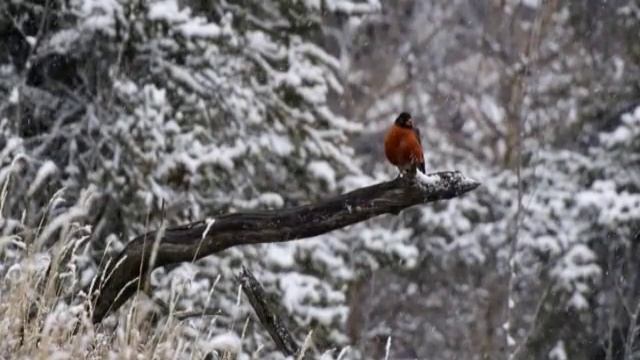 пробуждение