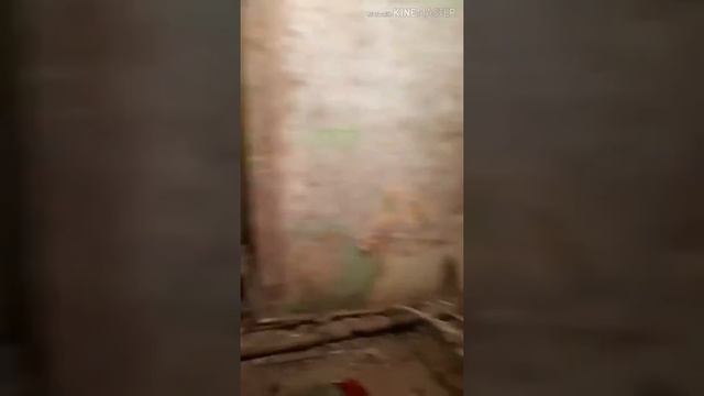 Обязательно!!! Перед укладкой кафеля. смотреть онлайн